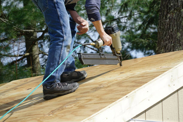 Best Attic Insulation Installation  in Buffalo, WY